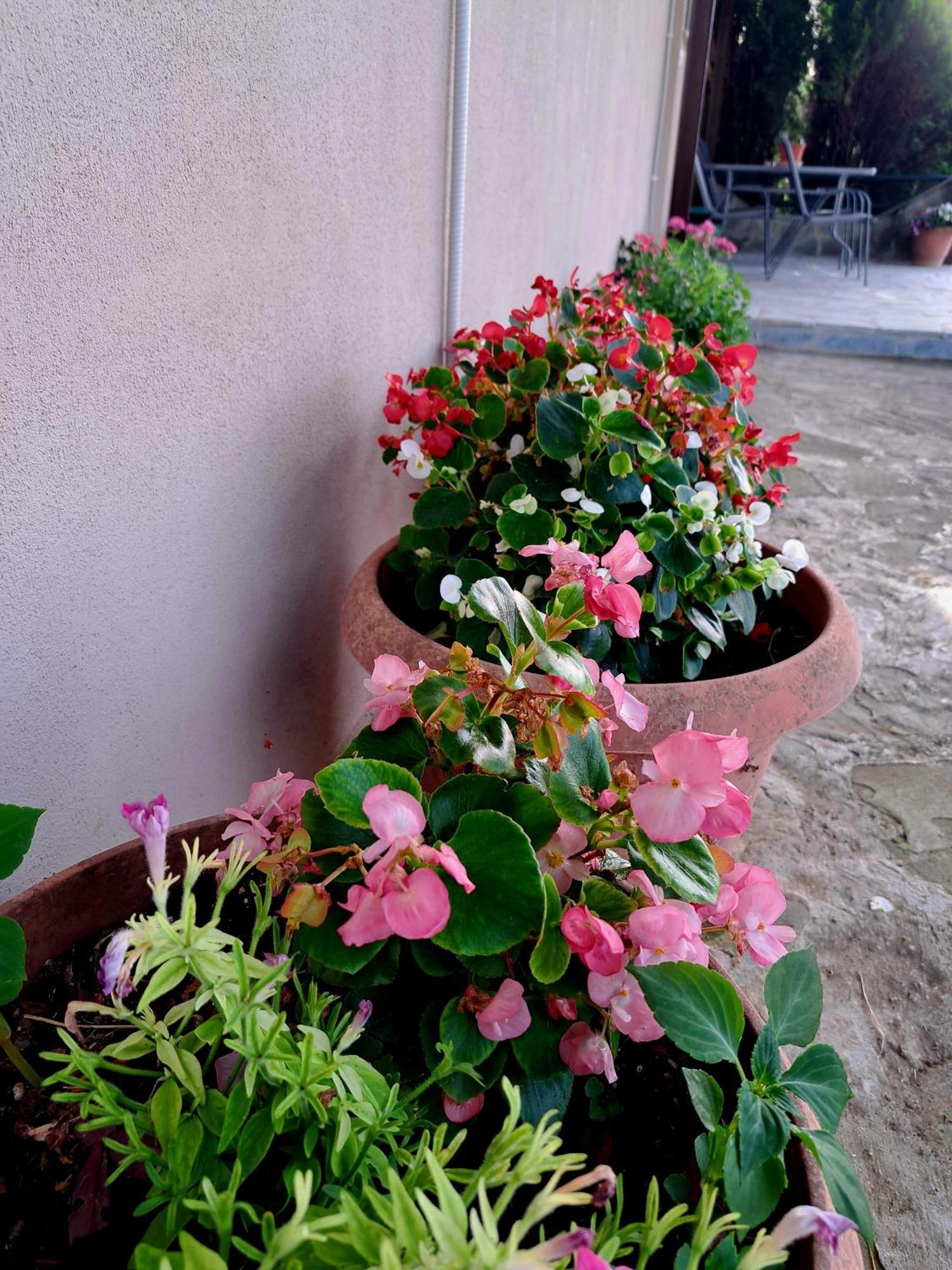 Villaggio Traditional Living Ioannina Exterior photo